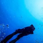 Immersioni subacquee in Algarve e Portogallo