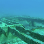 A Zattera di Siderno sia la prima pietra per un parco subacqueo