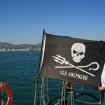Weekend dedicato all’ambiente, Sea Shepherd a San Terenzo