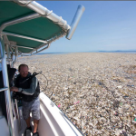 Immagini sconvolgenti! Un mare di plastica invade i Caraibi