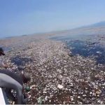 Un’isola di spazzatura e plastica nel mar dei Caraibi