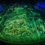 I migliori scatti di Underwater photographer of the year 2018