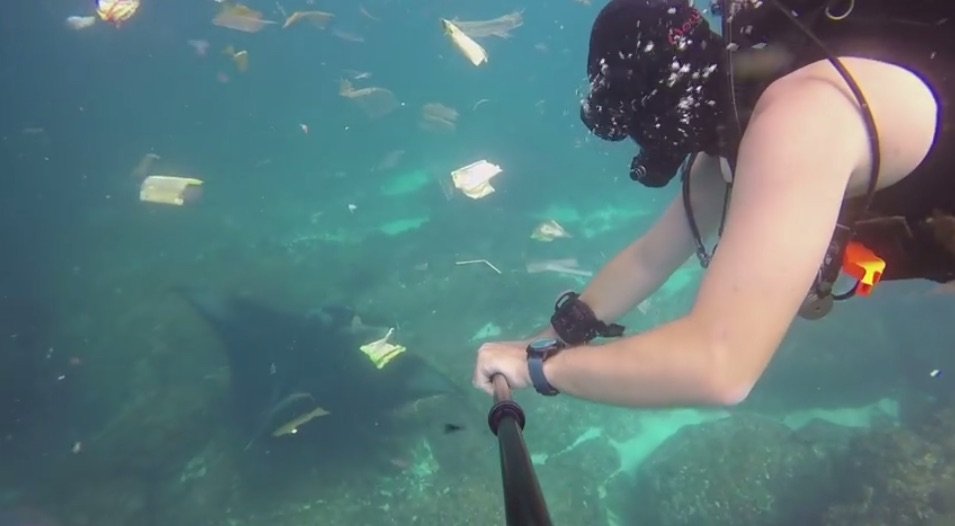 Bali: incredibile video subacqueo tra la plastica