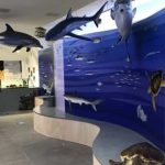 Ecco il BioMA, il museo dedicato alla biodiversità marina del Golfo di Trieste