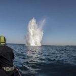 I Palombari della Marina Militare rimuovono ordigni esplosivi a Marinella di Selinunte