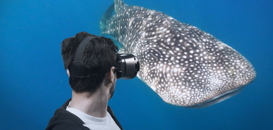 Vivi in anteprima i viaggi sub grazie ai Video VR 360° di DiveCircle