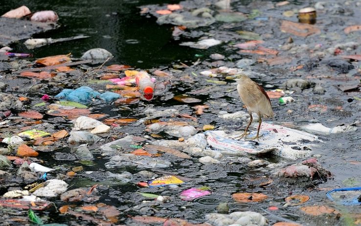 Plastica, emergenza ambientale