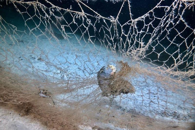 Un’altra «rete fantasma» nel lago d’Iseo
